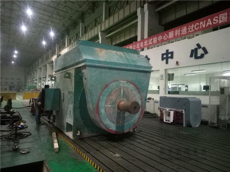 1611737695760035.jpg 10061511A-8.jpg