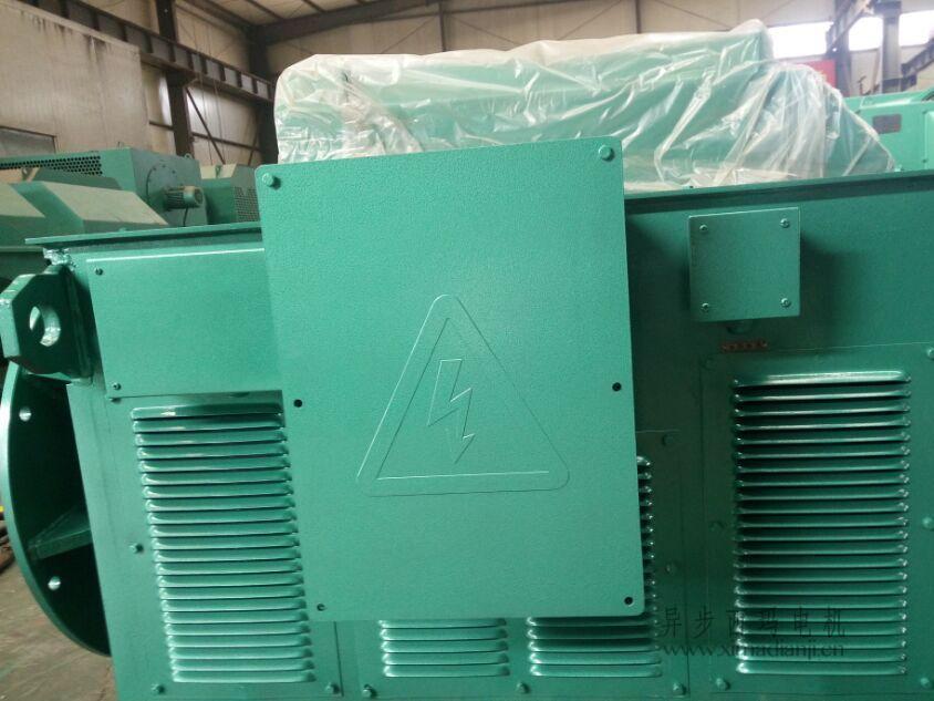 1630291197523028.jpg y-2688.jpg