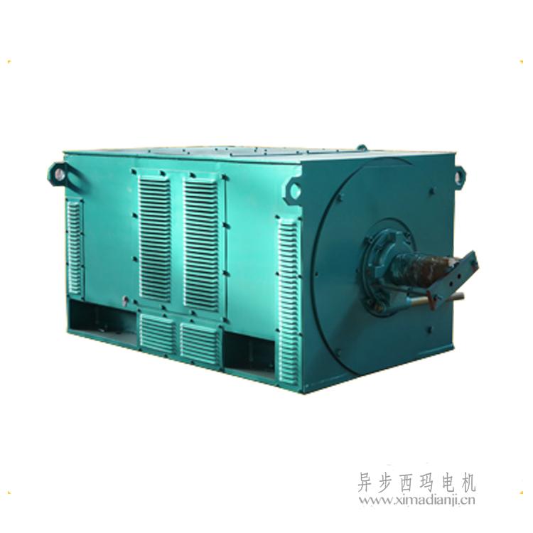 1737100525789021.jpg Y-4.jpg