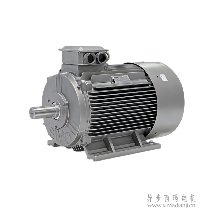 1756792613930676.png YE3(1)(1).png